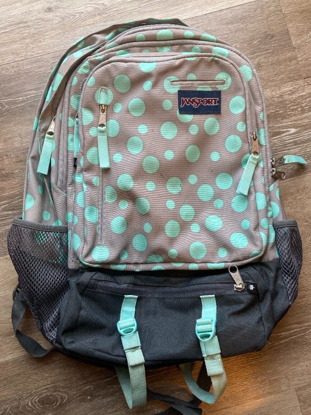 Jansport Polka Dot Backpack